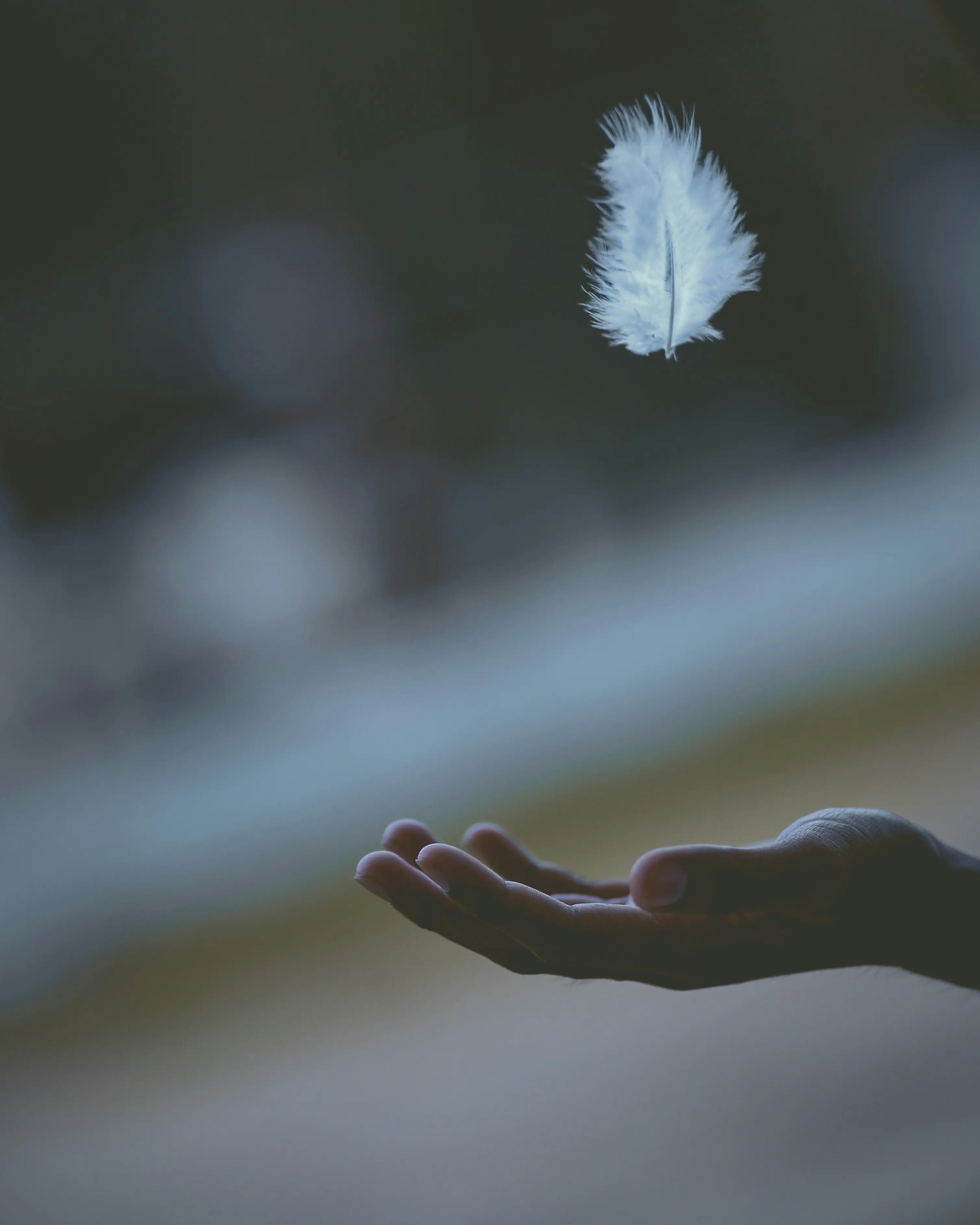 NonViolence, au service de la paix