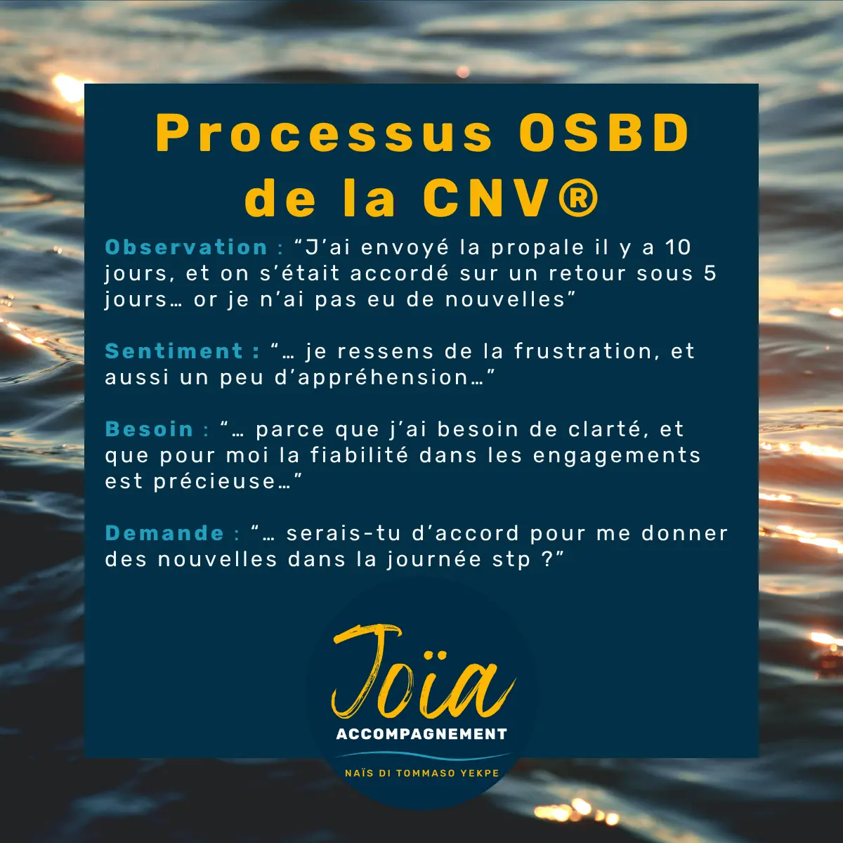 OSBD – Observation Sentiment Besoin Demande (CNV)
