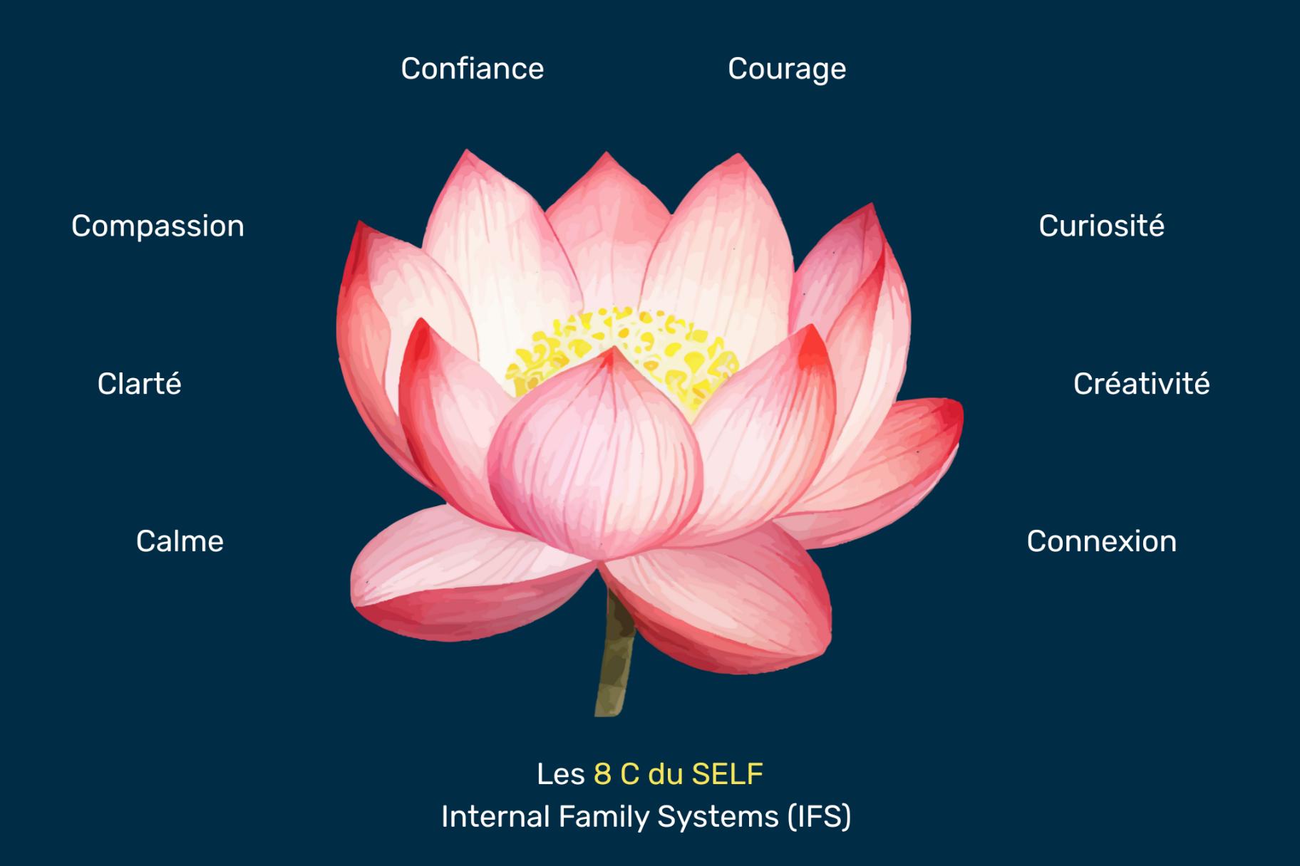 Les 8 C du SELF - article parties IFS (Internal Family Systems) Les 8 C du SELF en IFS : calme, clarté, compassion, confiance, courage, curiosité, créativité et connexion